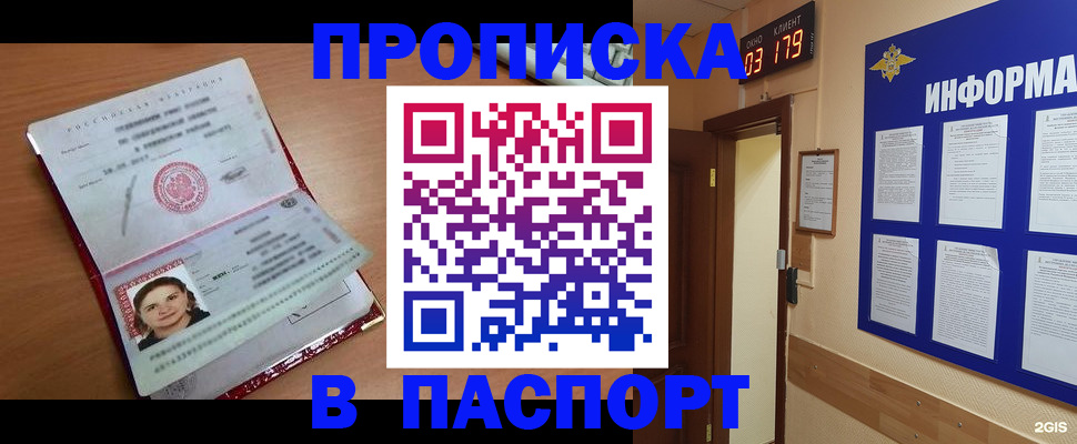 прописка 2025 в Электрогорске