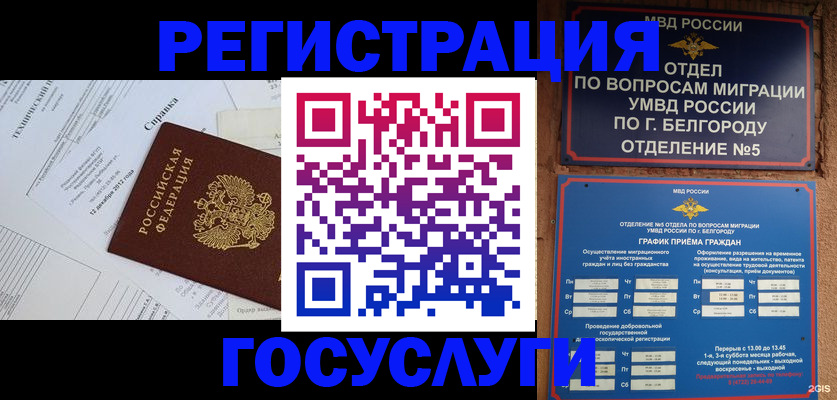 временная прописка в Электрогорске